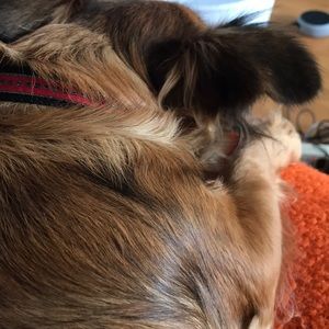 Meet your Posher, Jocelyn